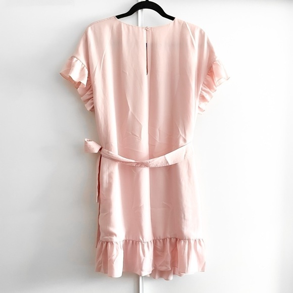 Aritzia Pink Ruffle Mini Dress - Picture 7 of 14